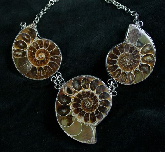 Triple Ammonite Necklace - Million Years Old #7906